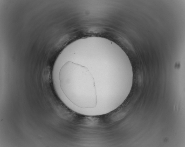 X0000090920328200708201811