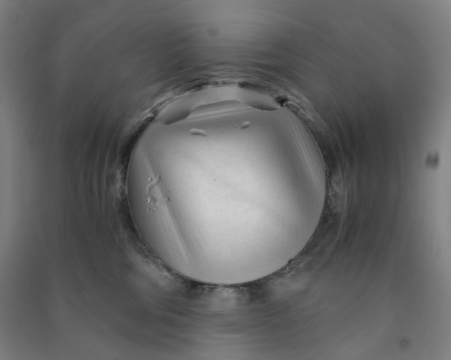 X0000090920330200708201811