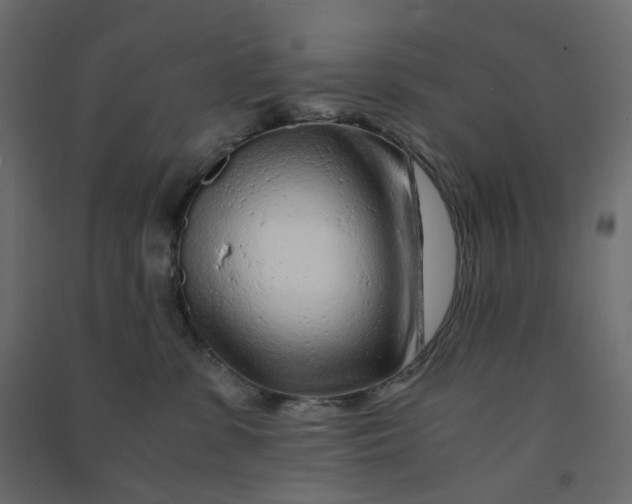 X0000090920331200708201811