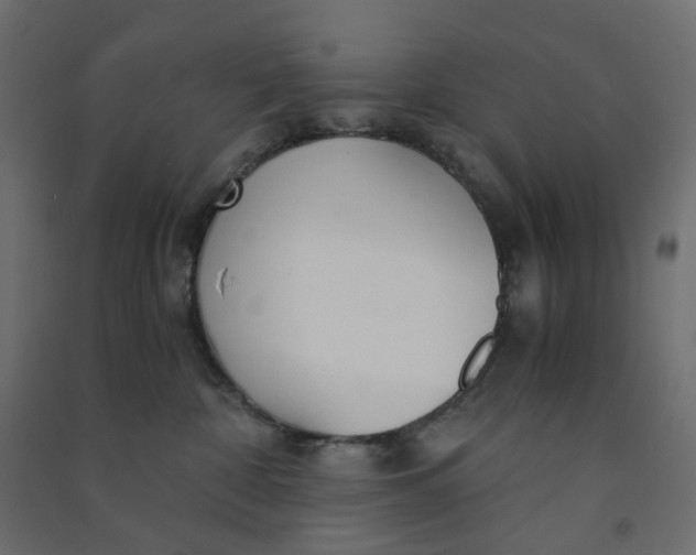 X0000090920332200708201811