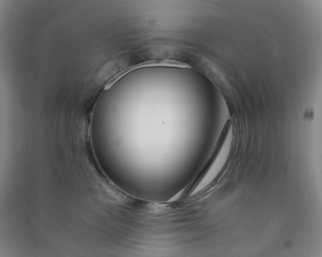 X0000090920333200708201811