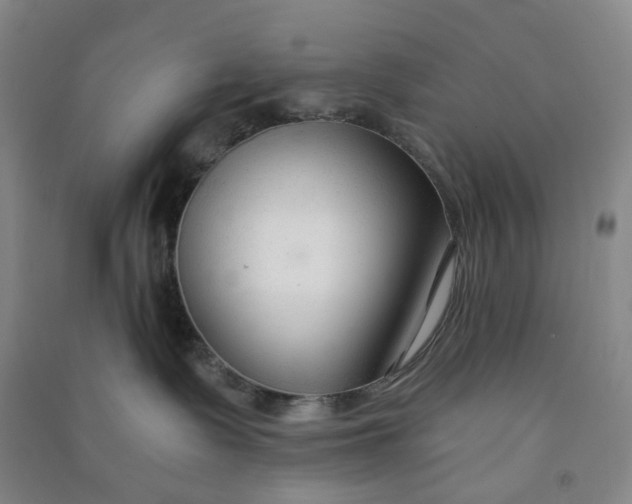 X0000090920335200708201811