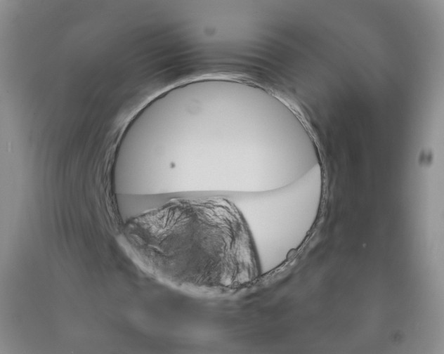 X0000090920337200708201811