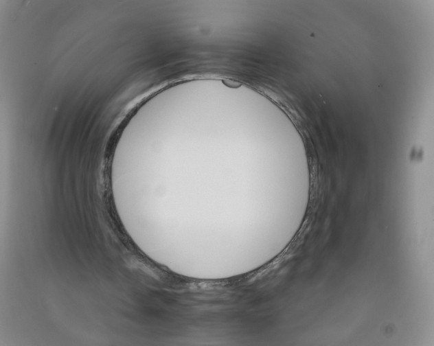 X0000090920338200708201811