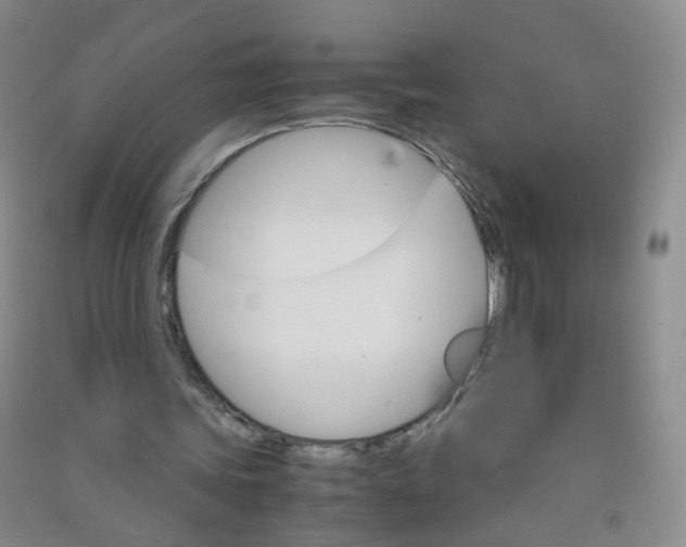 X0000090920339200708201811