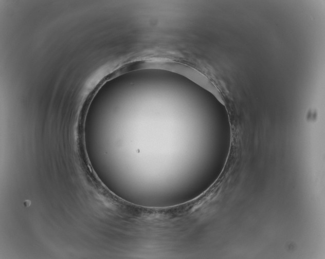 X0000090920340200708201811