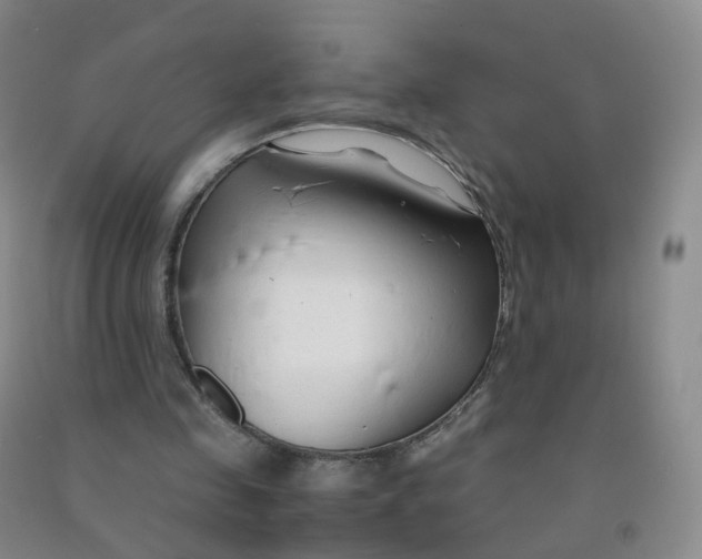 X0000090920341200708201811