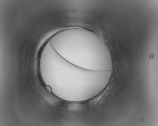 X0000090920342200708201811