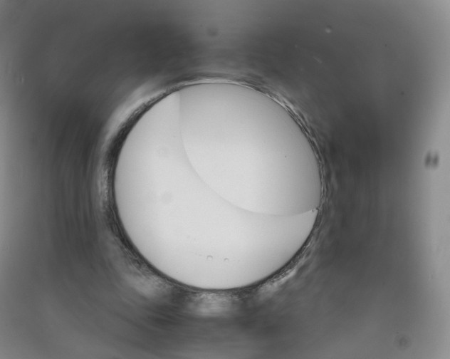 X0000090920343200708201811