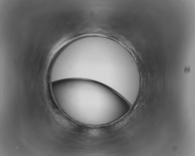 X0000090920344200708201811