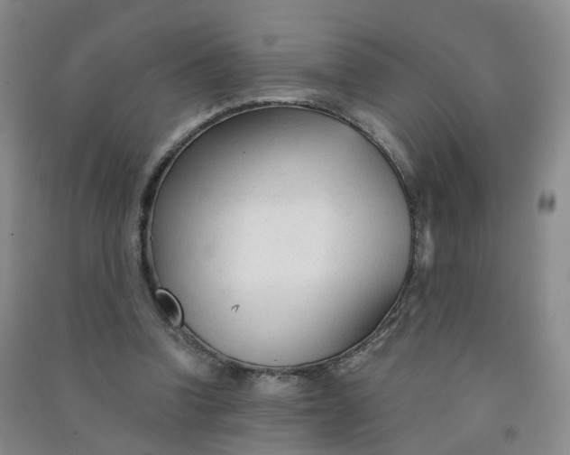 X0000090920346200708201811