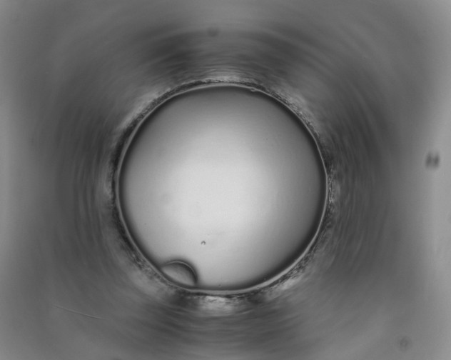 X0000090920347200708201811