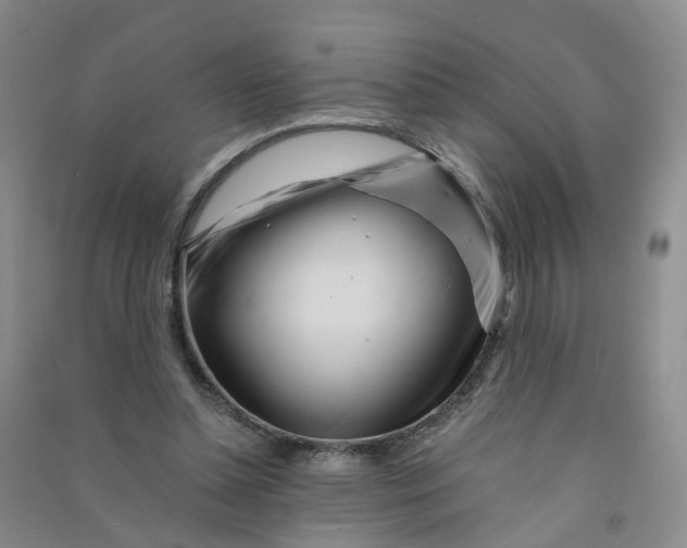 X0000090920348200708201811