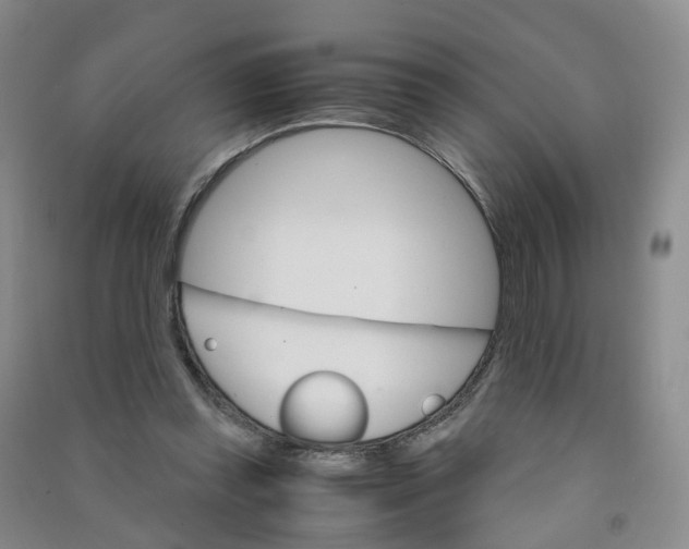 X0000090920349200708201811