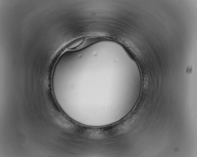 X0000090920351200708201811