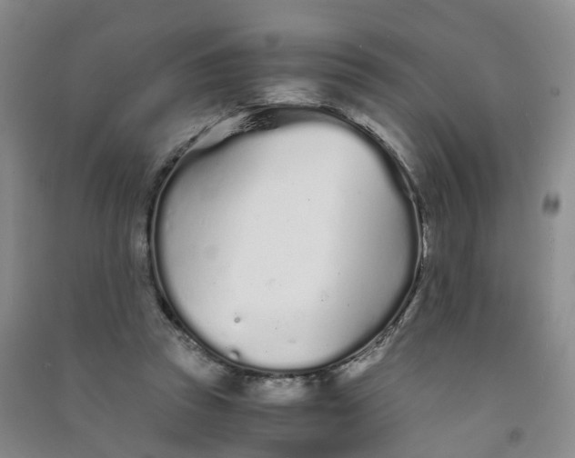 X0000090920353200708201811