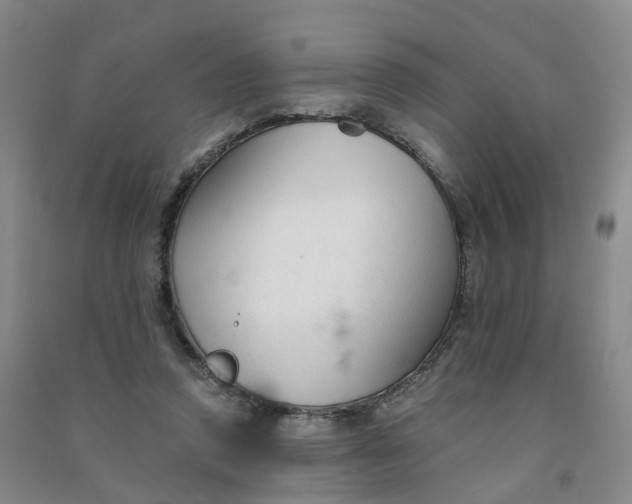 X0000090920354200708201811