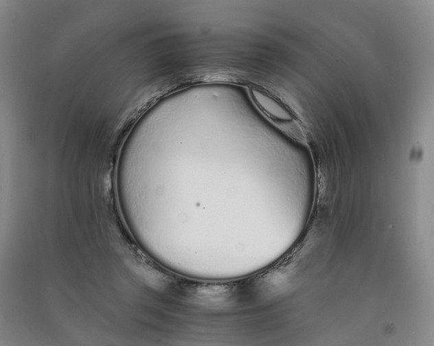 X0000090920357200708201811