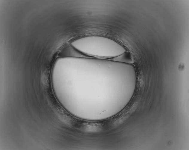 X0000090920359200708201811