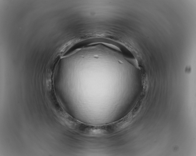 X0000090920360200708201811