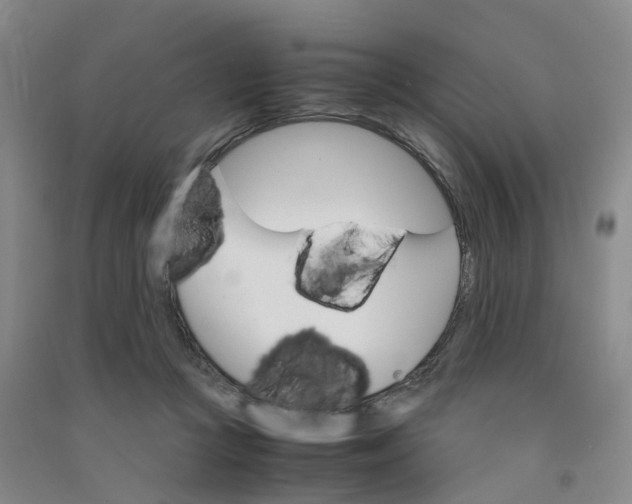 X0000090920361200708201811