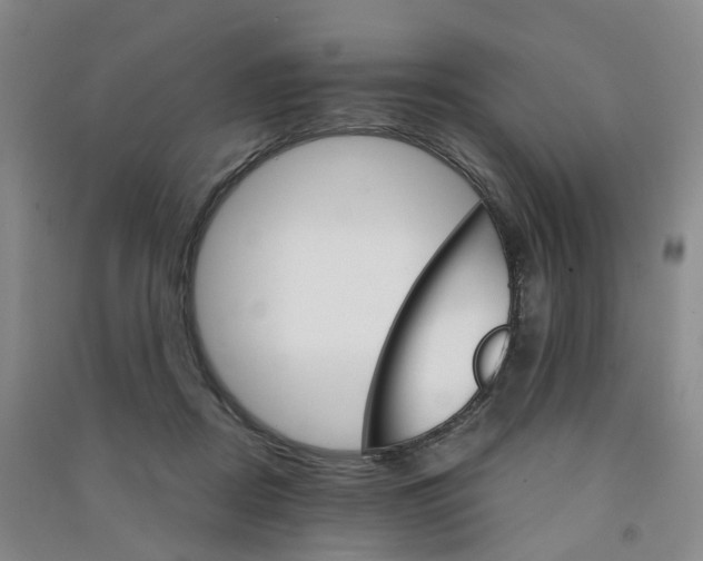 X0000090920362200708201811