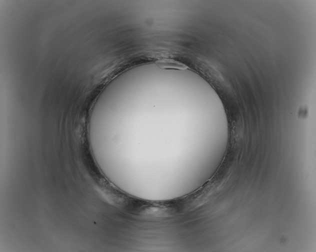 X0000090920364200708201811