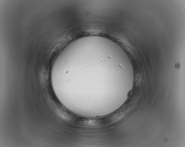 X0000090920365200708201811