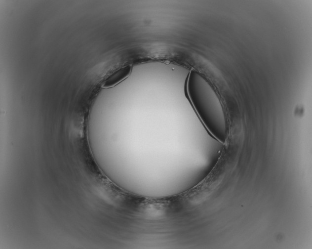 X0000090920368200708201811