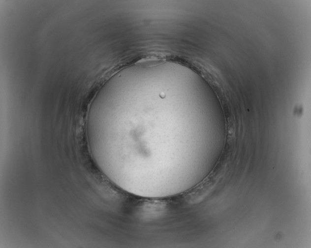 X0000090920369200708201811