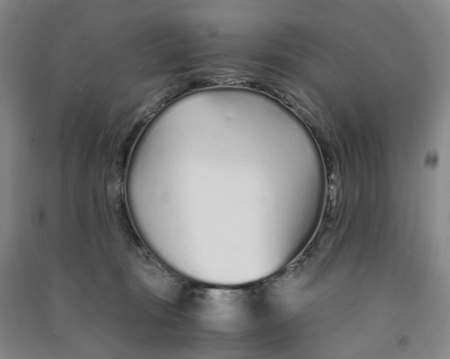 X0000090920371200708201811