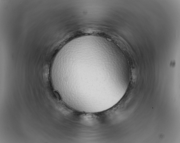 X0000090920372200708201811