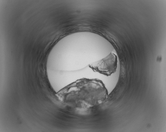 X0000090920373200708201811