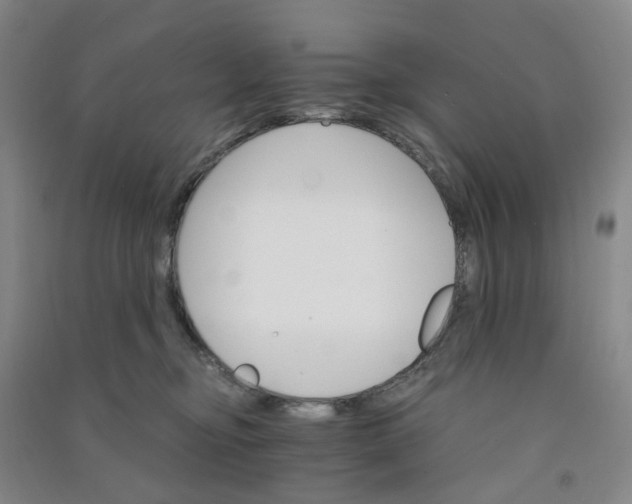 X0000090920374200708201811