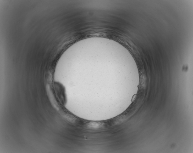 X0000090920375200708201811