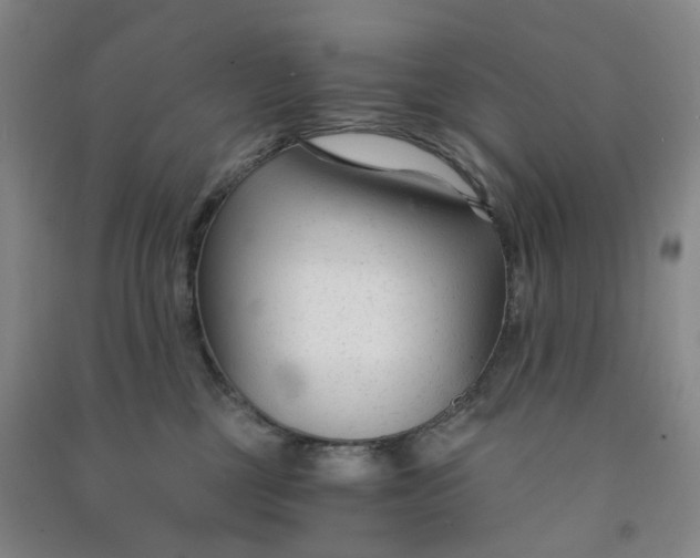 X0000090920377200708201811