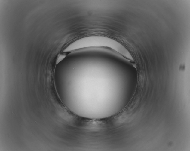 X0000090920379200708201811