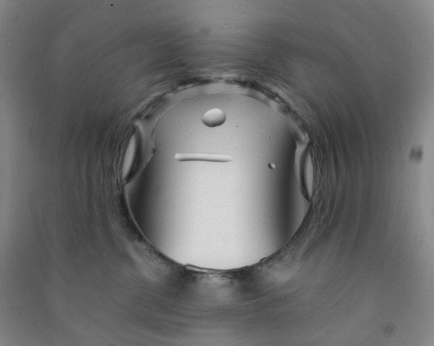 X0000090920380200708201811