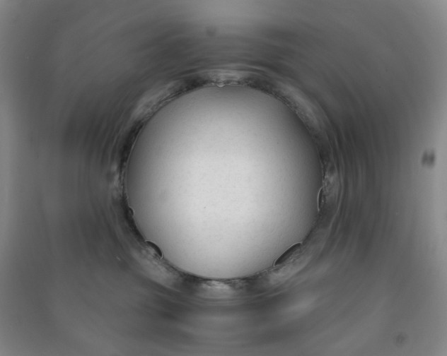 X0000090920381200708201811