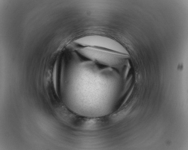 X0000090920382200708201811