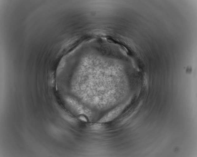 X0000090920383200708201811