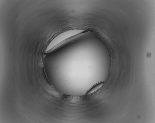 X0000090920384200708201811