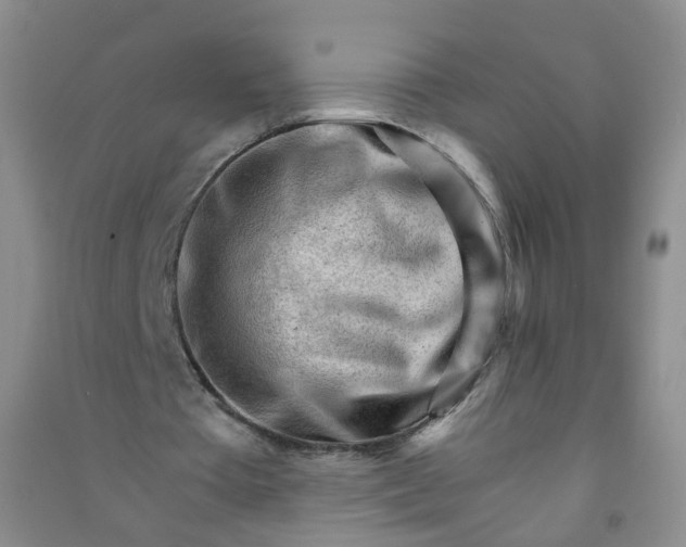 X0000090920385200708201811