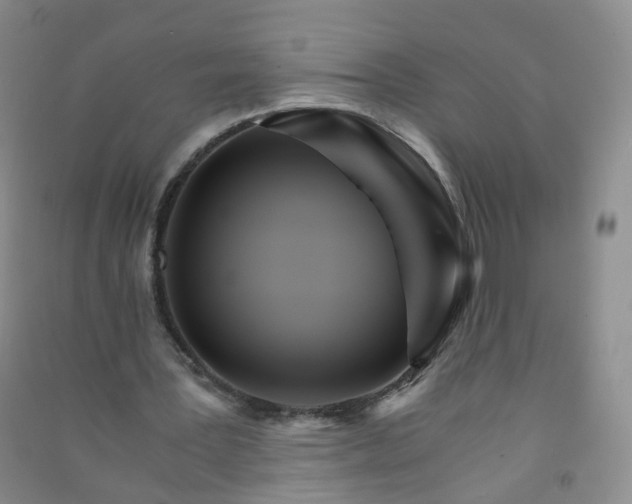 X0000090920387200708201811