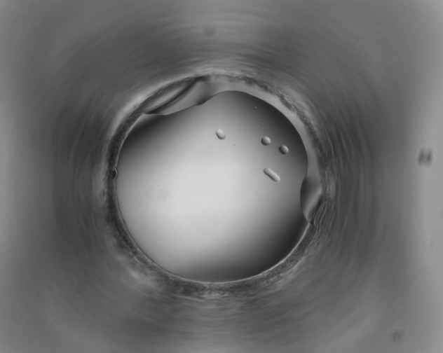 X0000090920388200708201811