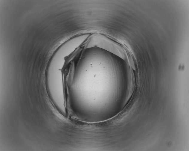 X0000090920389200708201811