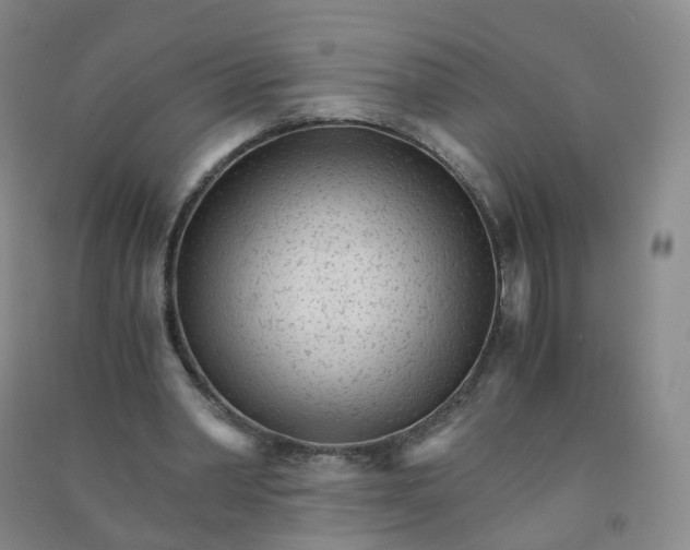 X0000090920390200708201811