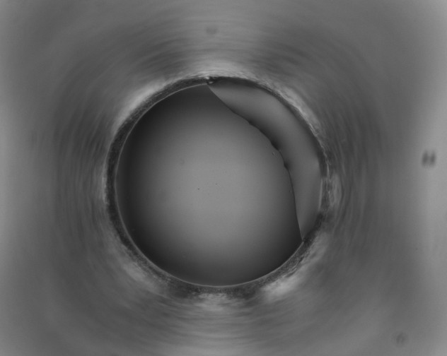 X0000090920391200708201811