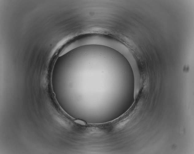 X0000090920392200708201811