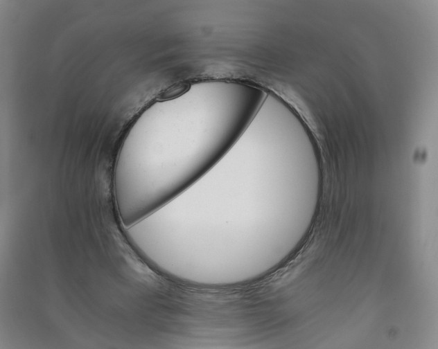 X0000090920393200708201811